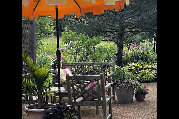 House sit in Columbus, OH, US