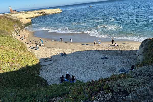 House sit in Santa Cruz, CA, US