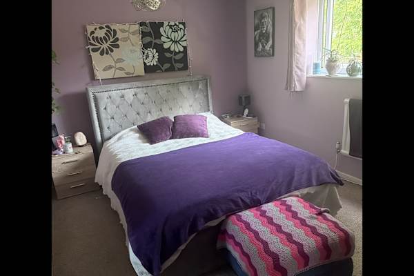 House sit in Reading, United Kingdom
