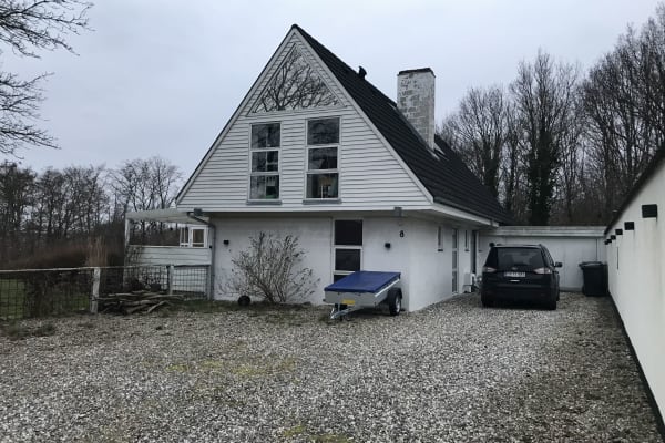 House sit in Århus, Denmark