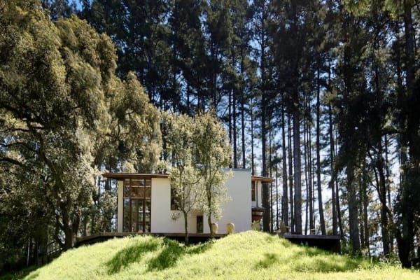 House sit in Inverness, CA, US