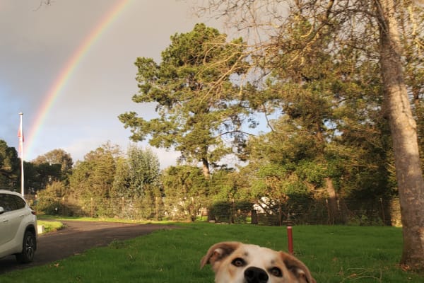 House sit in Aromas, CA, US