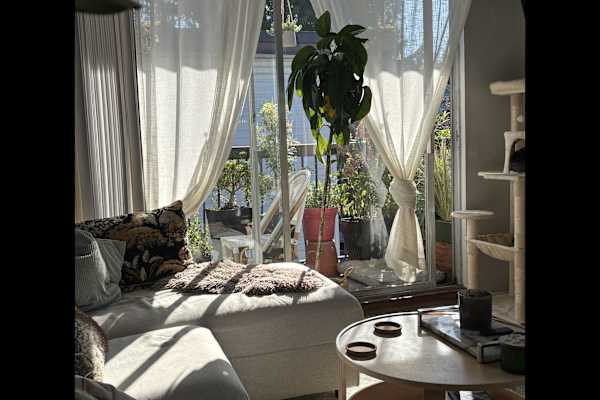 House sit in Kitsilano, BC, Canada