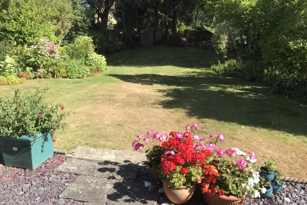 House sit in Weston-super-Mare, United Kingdom