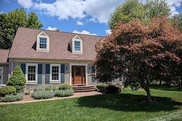House sit in Reston, VA, US