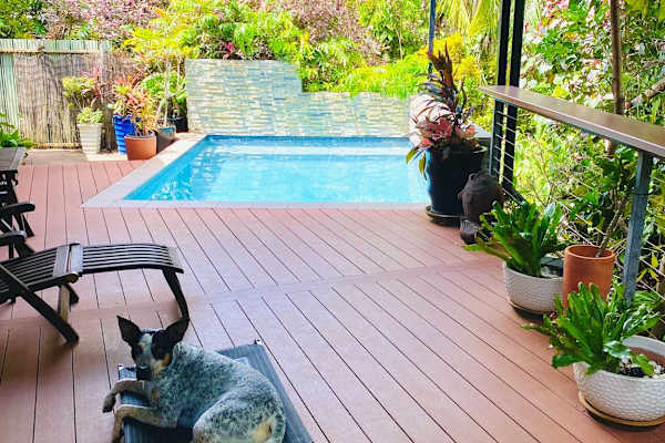 House sit in Darwin, Northern Territory, Australia