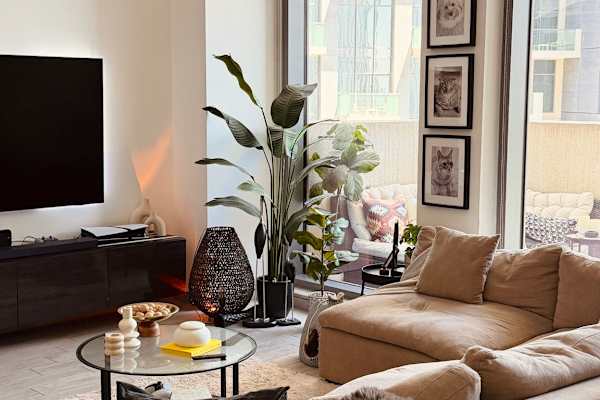 House sit in Dubai, United Arab Emirates