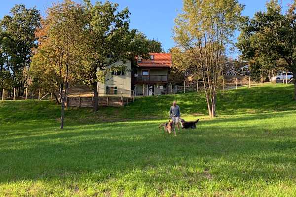 House sit in Sassello, Italy