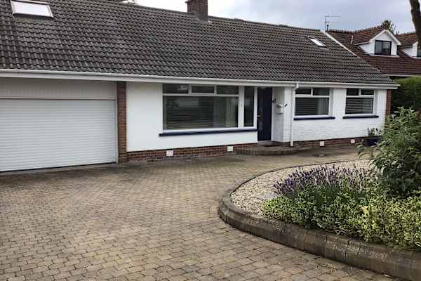 House sit in Belfast, United Kingdom