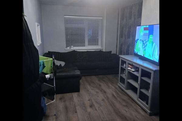 House sit in Newbury, United Kingdom