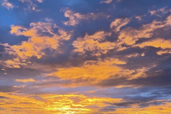 House sit in Nanaimo, BC, Canada