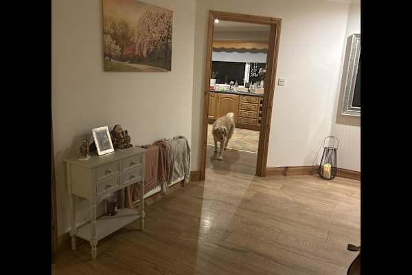 House sit in Mountcharles, Ireland