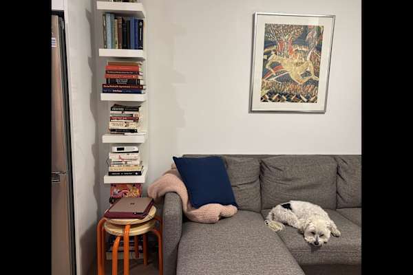 House sit in Brooklyn, NY, US