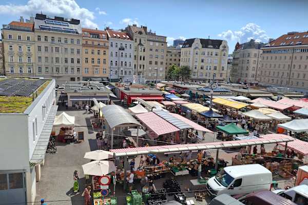 House sit in Vienna, Austria