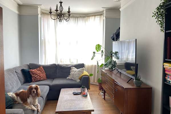 House sit in Northampton, United Kingdom