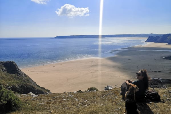 House sit in Swansea, United Kingdom