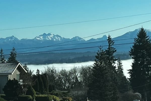 House sit in Everett, WA, US