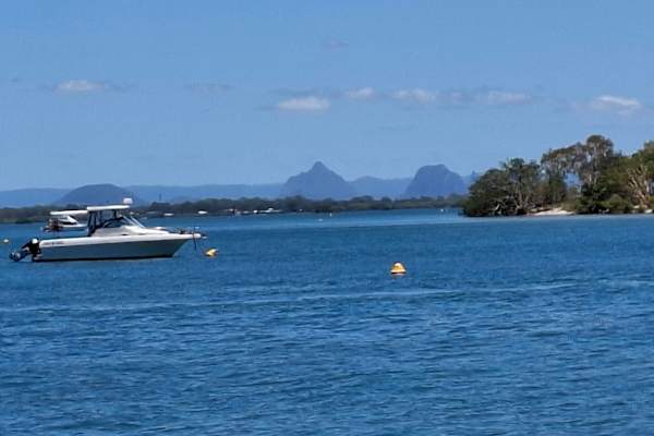 House sit in Brisbane, QLD, Australia