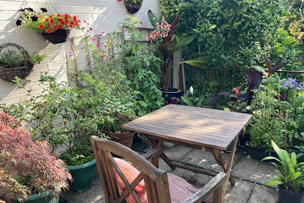 House sit in Nottingham, United Kingdom
