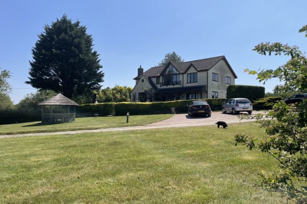 House sit in Whiteparish, United Kingdom