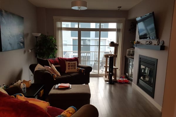 House sit in Calgary, AB, Canada