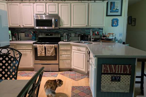 House sit in Lebanon, TN, US
