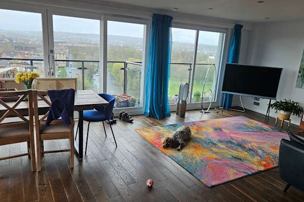 House sit in Glasgow, United Kingdom