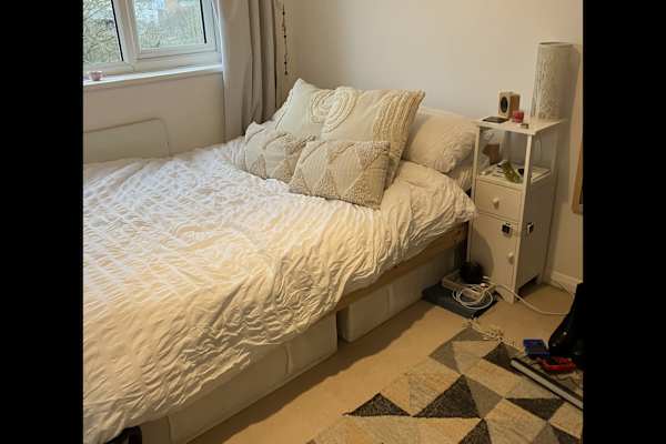 House sit in Hastings, United Kingdom