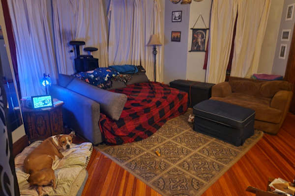 House sit in Springfield, MA, US