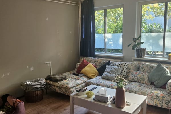 House sit in Amsterdam, Netherlands