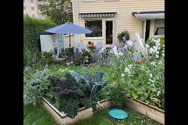 House sit in Oslo, Norway