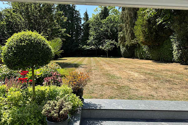 House sit in Weybridge, United Kingdom