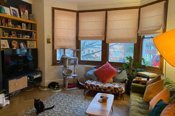 House sit in Catford, United Kingdom