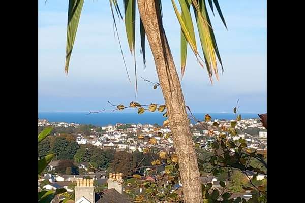 House sit in Brixham, United Kingdom