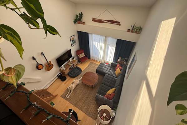 House sit in Vancouver, BC, Canada