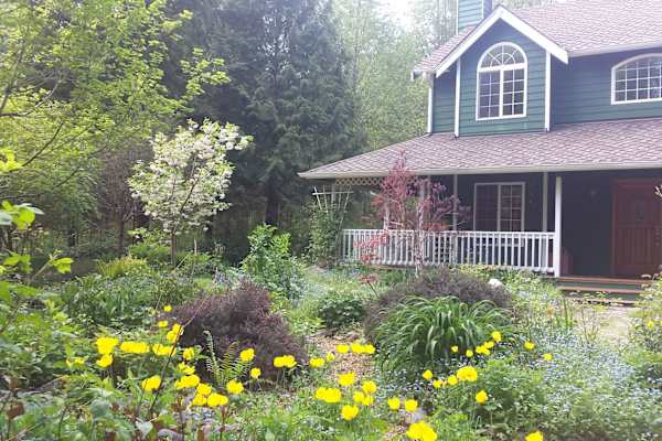 House sit in Woodinville, WA, US