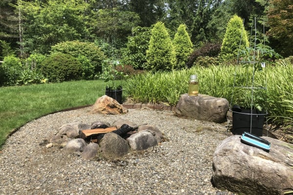 House sit in Gold Bar, WA, US