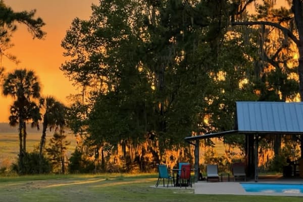 House sit in Micanopy, FL, US