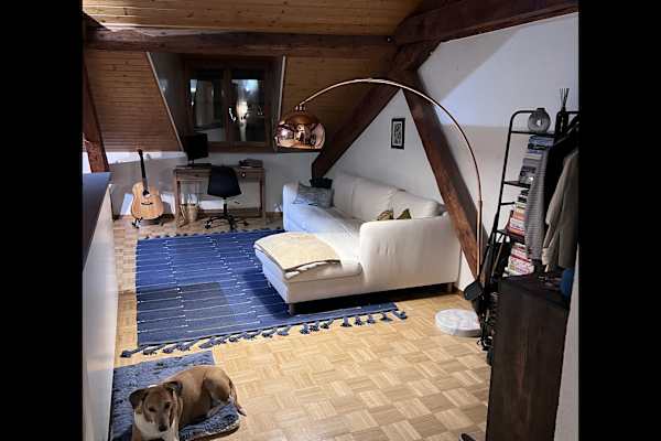 House sit in Genève, Switzerland