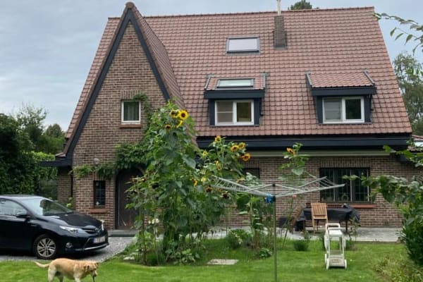 House sit in Sint-Martens-Latem, Belgium
