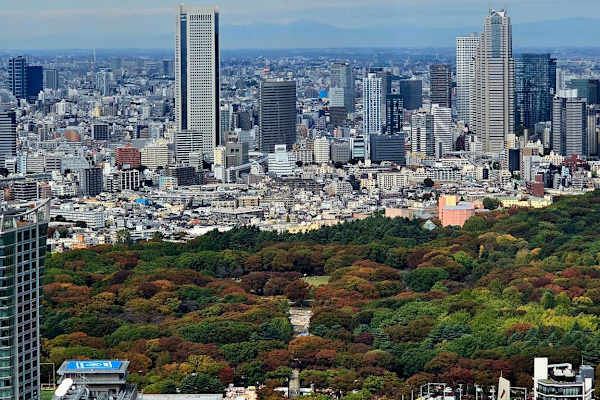 House sit in Tokyo, Japan