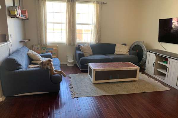 House sit in Erie, CO, US