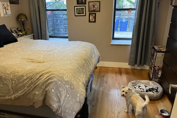 House sit in Brooklyn, NY, US