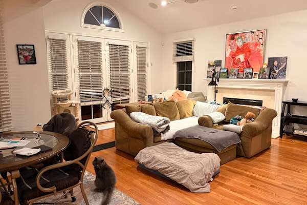 House sit in Cupertino, CA, US