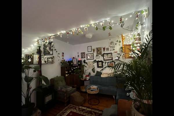 House sit in Barcelona, Spain