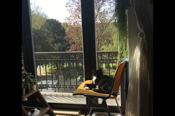 House sit in Brussels, Belgium