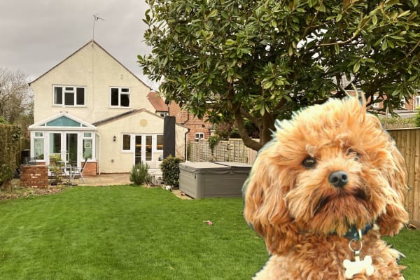 House sit in Ross on Wye, United Kingdom