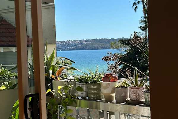 House sit in Sydney, NSW, Australia