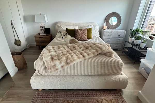 House sit in Brooklyn, NY, US