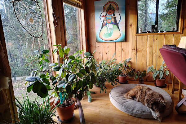 House sit in Ruch, OR, US